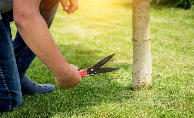 Giardiniere professionista che pota un'erba con le forbici del giardino