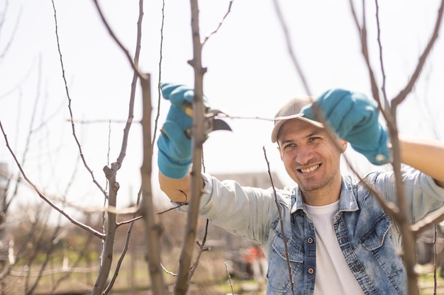 Professional gardener pruning a tree.