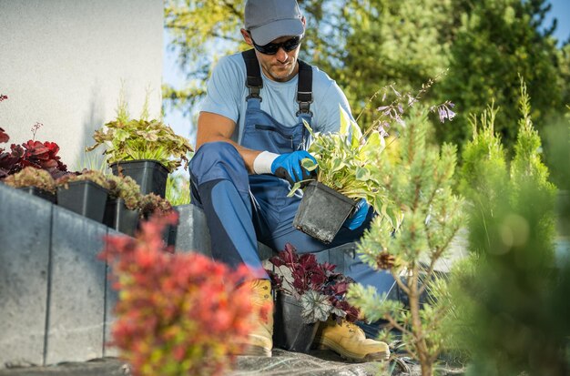 Photo professional gardener selecting proper plants for a newly developed residential backyard garden landscaping industry