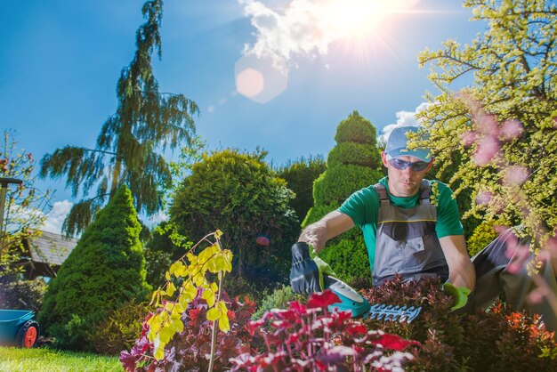 Photo professional gardener at work