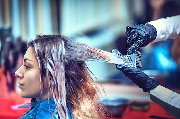 Professional hairdresser dyeing hair of her client