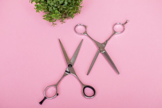 Professional hairdressers scissors on pink background