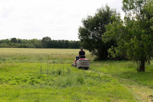 Professional lawn mower man worker cut the grass