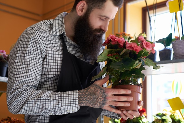 Professional male florist with beard and tattoo on his hand wearing uniform holds the pot with a bouquet of flowers in flower shop.