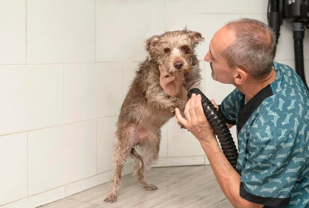 グルーミング サロンで濡れた犬を乾燥させるプロの男ペットの毛の美しいビューを作る