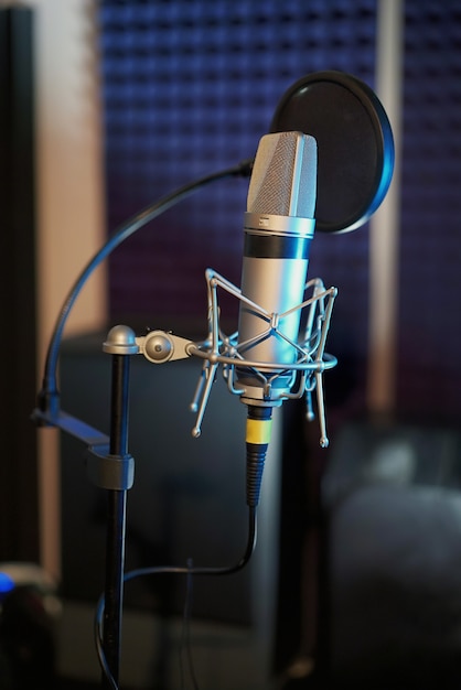 Professional microphone in the recording studio.