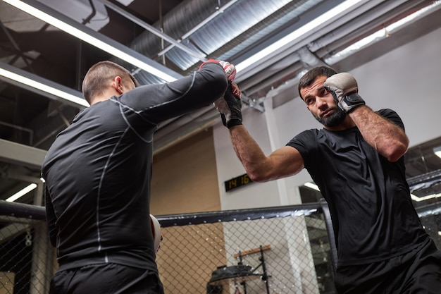 Professional MMA Fighter Showing Best Tricks To New Fighter, Teaching, Training Together, Engaged In Workout, Master Class By Professional MMA Wrestler. Side view From Below