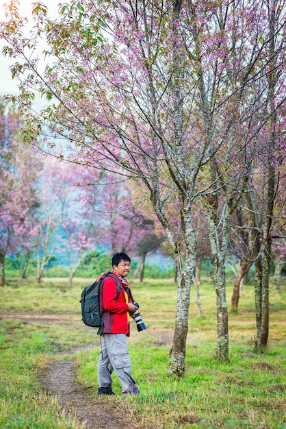 公園で桜の木を撮影しているプロの写真家。