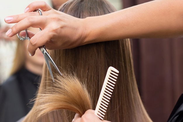 Professional stylist cuts female hair in salon