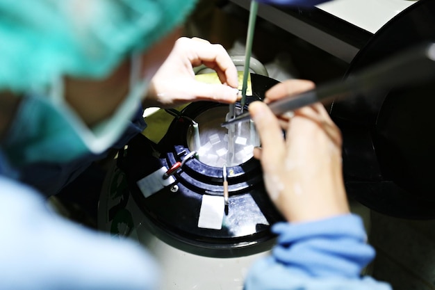 プロの獣医師は、生殖技術のために液体窒素で凍結された精子を選別しています