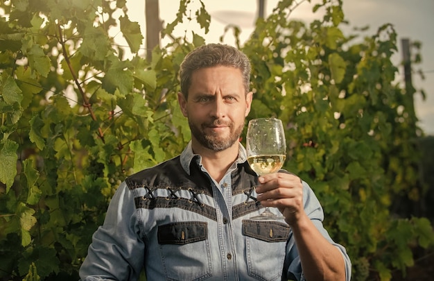 Professional winegrower on grape farm bearded man with wine glass smiling enologist with wineglass