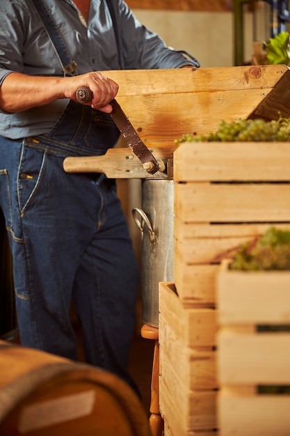 a professional winery staff operating a vintage grape crusher