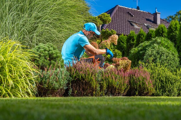 Professionele blanke tuinier in de veertig die achtertuinplanten onderhoudt