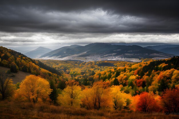 professionele foto foto van het herfstlandschap dramatische verlichting somber bewolkt weer