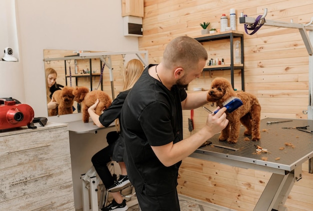 Professionele mannelijke trimmer die kapsel maakt van poedel theekopje hond bij trimsalon met professionele apparatuur