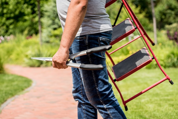 Foto professionele tuinman gaat bomen kappen met een tuinschaar en ladder