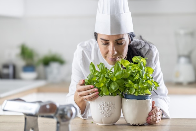 Professionele vrouwelijke chef-kok met witte hoed sluit haar ogen terwijl ze verse basilicum ruikt in potten voor haar