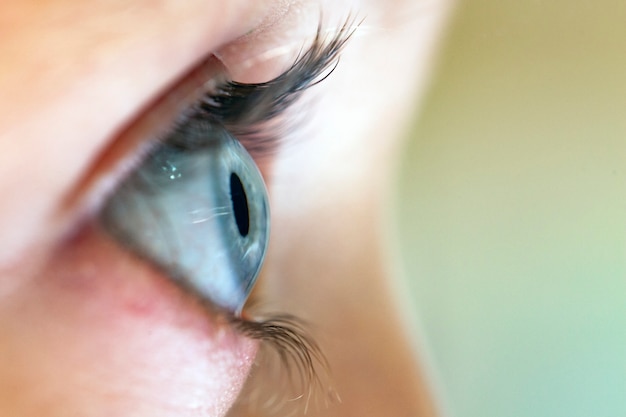 Профиль женского голубого глаза