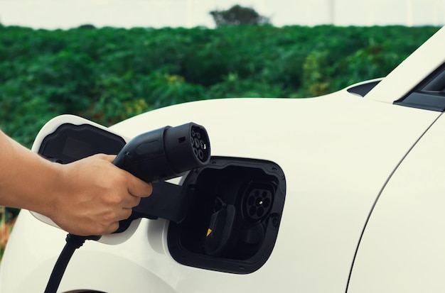 Progressive natural scenic of hand insert charging plug to EV car