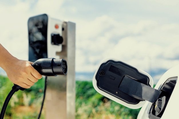 Progressive natural scenic of hand insert charging plug to EV car