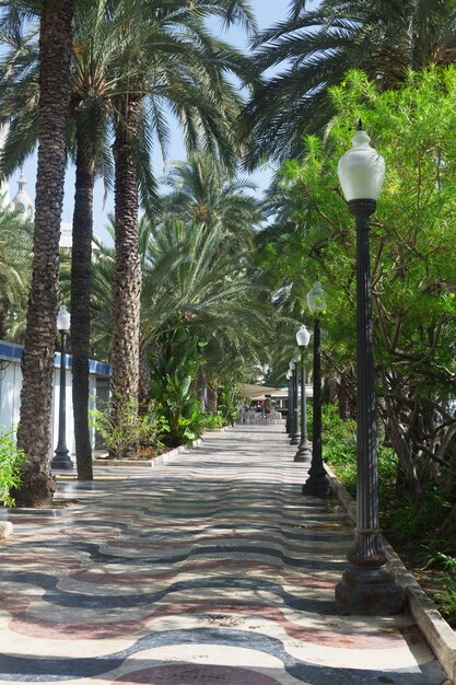 Promenade along the sea in Alicante