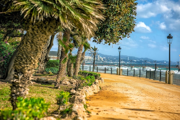 Promenade and beautiful garden in Marbella Spain selective focus