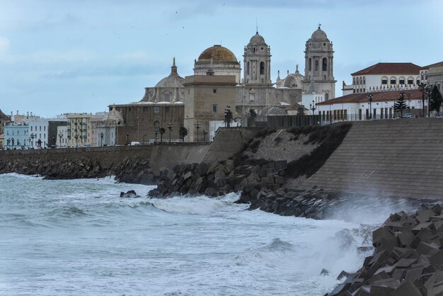 Photo promenade and cathedral of santa cruz in cadiz spain