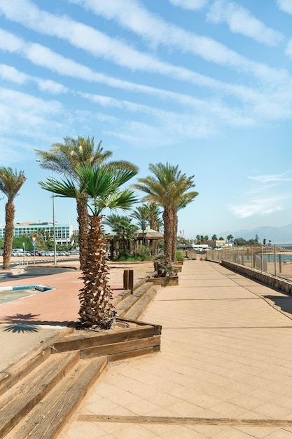 Promenade in Eilat on the Red Sea