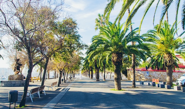 Promenade in de stad Barcelona. Selectieve aandacht.