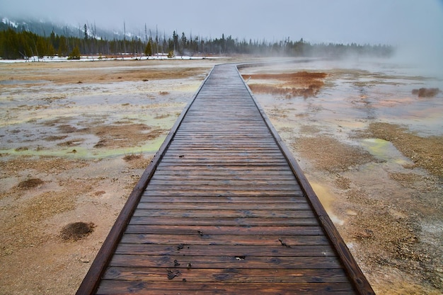 Promenade in Yellowstone in de lente met vlaktes van zwavelhoudende stoom