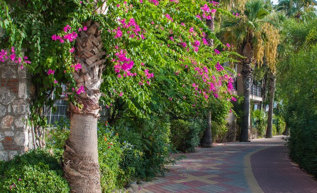 Promenade Marmaris Icmeler in Turkije