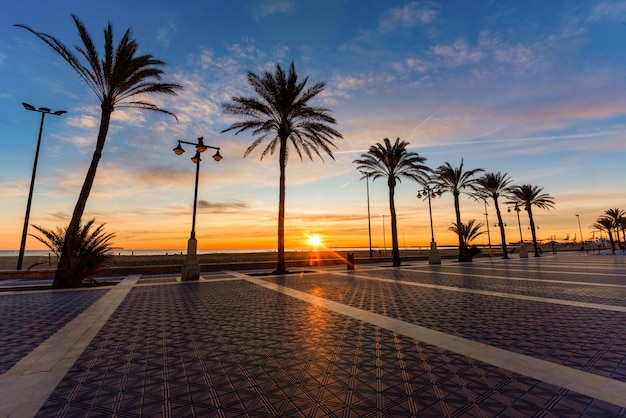 스페인 발렌시아(Valencia Spain) 시 일몰 시 야자수가 있는 산책로