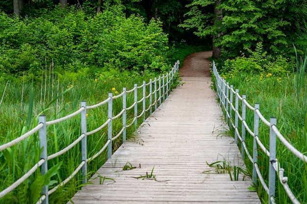 Promenadepad door moerasgebied Pontonvoetgangersbrug in Kazdanga Park-natuurpad Letland Baltic