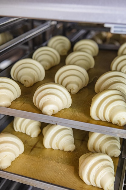 Proofed croissants on baking sheet