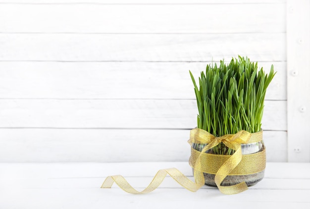 Foto profetici germogli di grano per festeggiare il navruz, la festa dell'equinozio di primavera.