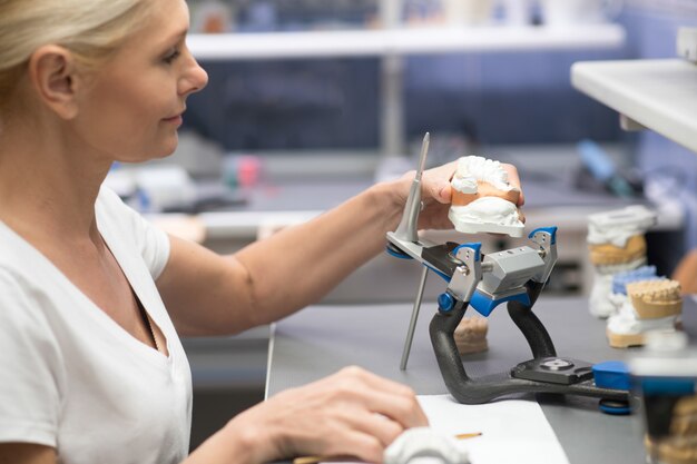 Prosthetist. A female prosthetist working with plaster prosthesis