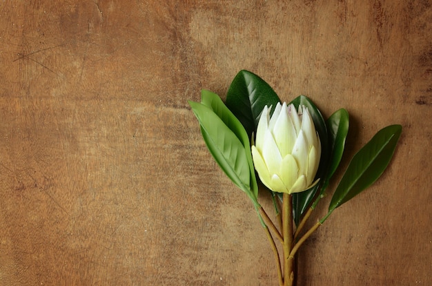 Proteabloem op rustieke houten achtergrond