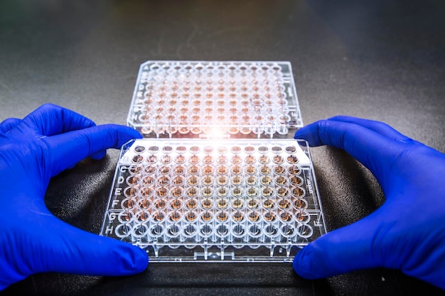 Protein concentration assay