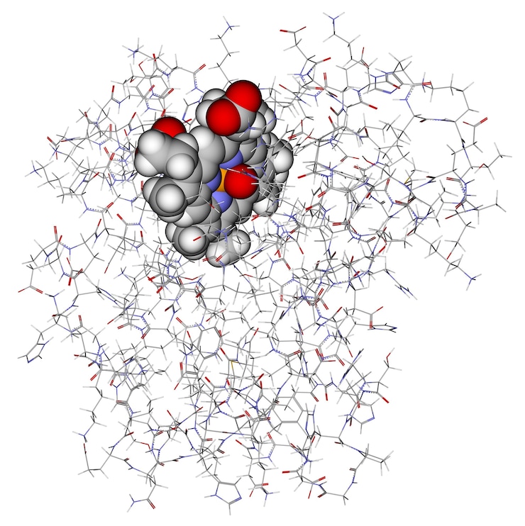 Photo protein myoglobin with heme showed in balls