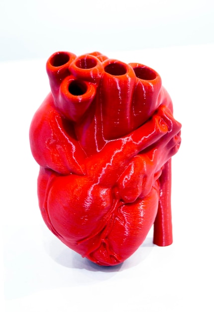 A prototype of a human heart d printed from molten red plastic model of a human heart printed on a d