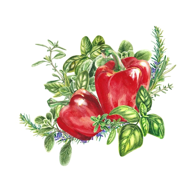 Provençaalse kruiden met rode paprika aquarel illustratie op een witte achtergrond Geïsoleerd bouquet