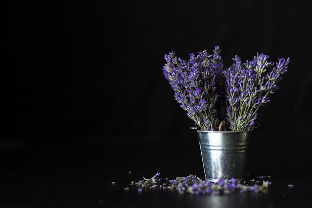 Fiori profumati viola provenzali sul nero. erbe e oli essenziali di lavanda.