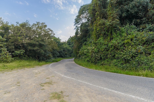 Photo provincial route 338 near villa nougues in the province of tucuman in argentina