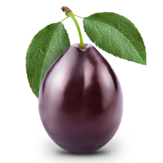 Pruim geïsoleerd