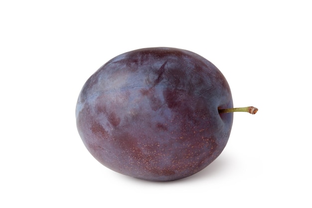 Pruim