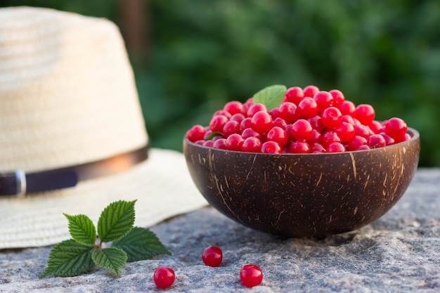 Prunus tomentosa or nanking cherry harvest in a cocnut bowl on a stone outdoors in summer