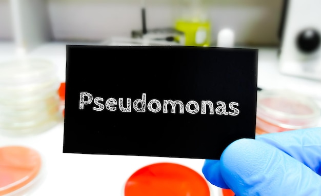 Photo pseudomonas bacteria medical and healthcare conceptual image