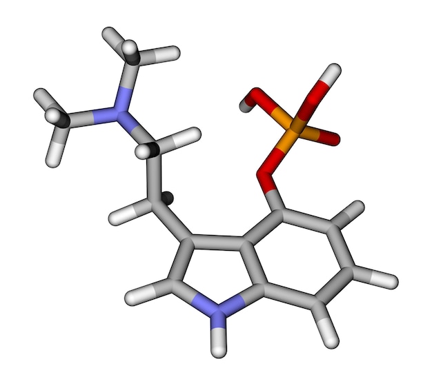 Psilocybin a hallucinogen found in mashrooms