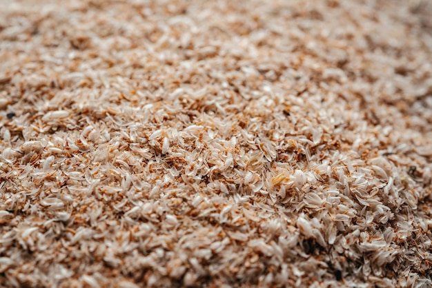 Psyllium husk dietary fiber supplement closeup