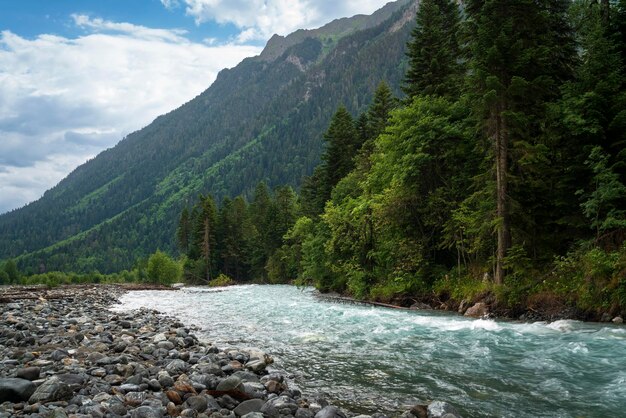 カフカス山脈のプシシュ川夏の晴れた日にアルキズ・カラチャイチェルケシアロシア